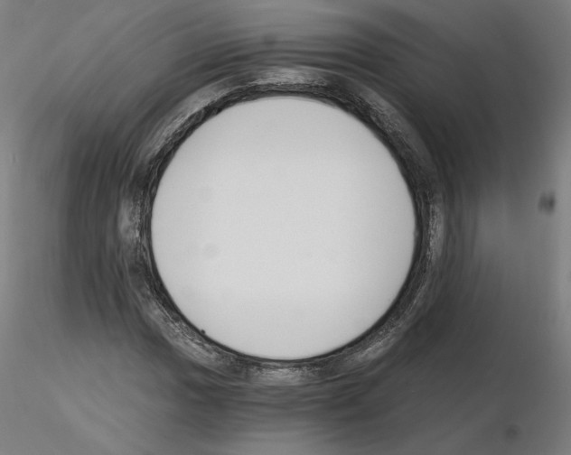 X0000115481017200912181204