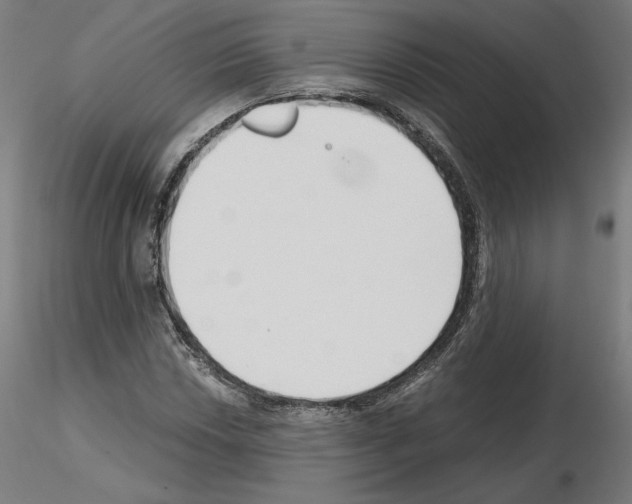 X0000115481018200912181204