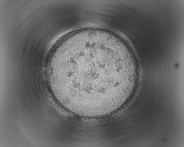 X0000115481019200912181204