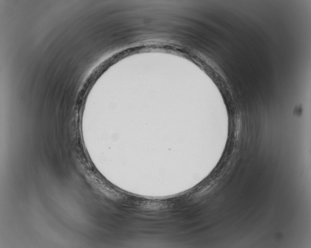 X0000115481021200912181204