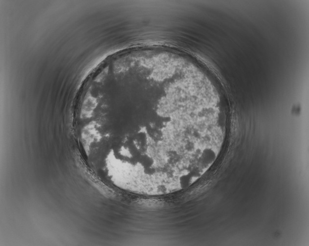 X0000115481023200912181204