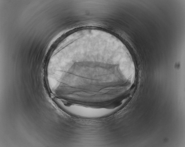 X0000115481024200912181204