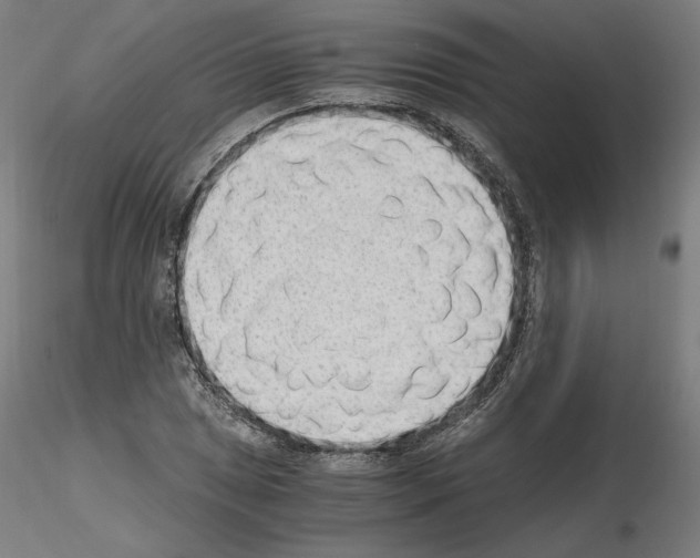 X0000115481025200912181204