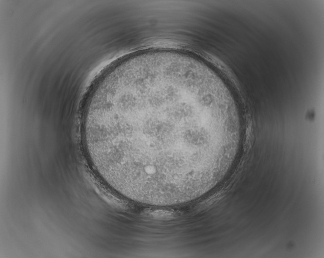 X0000115481027200912181204