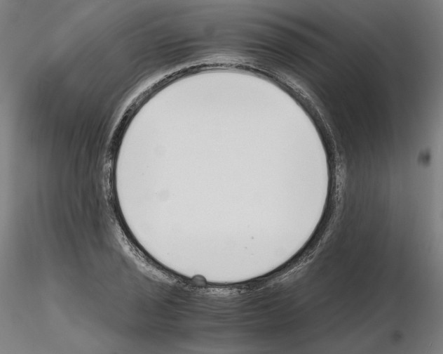 X0000115481029200912181204