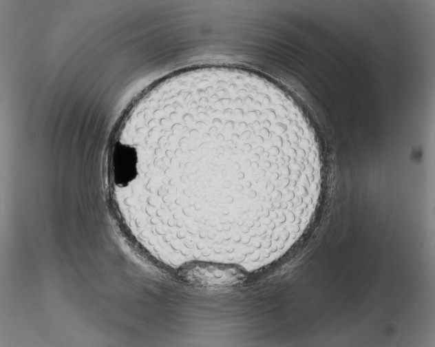 X0000115481030200912181204
