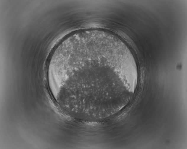 X0000115481031200912181204