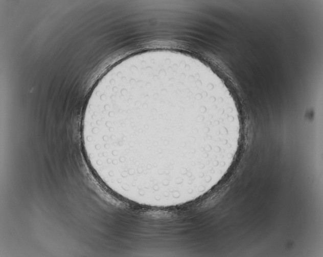 X0000115481033200912181204