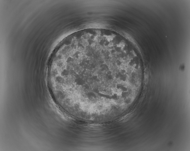 X0000115481035200912181204