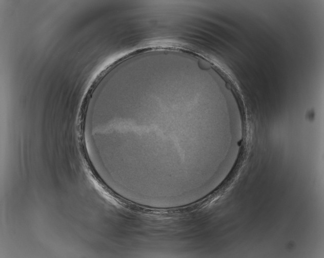 X0000115481037200912181204