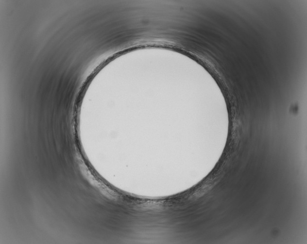 X0000115481038200912181204