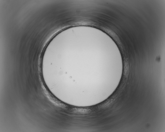 X0000115481039200912181204