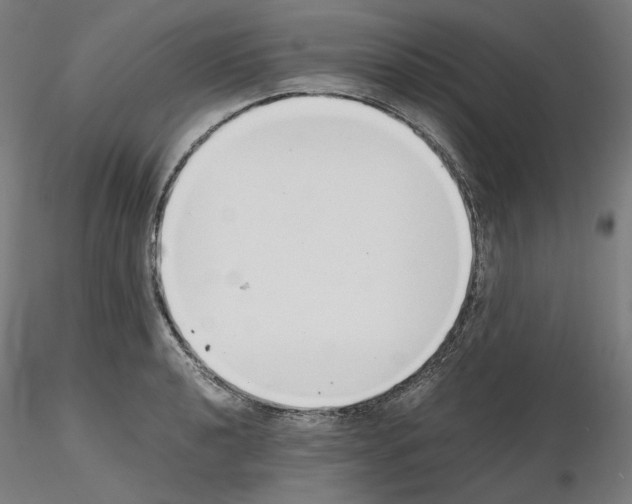 X0000115481040200912181204