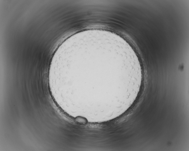 X0000115481041200912181204