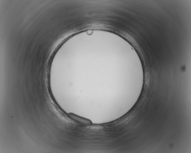 X0000115481043200912181204