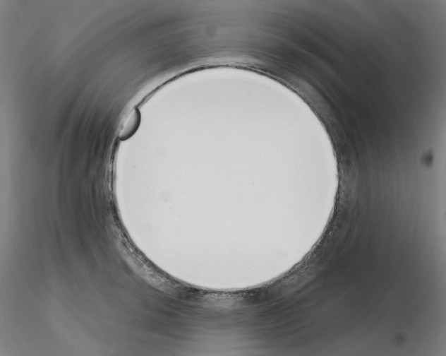 X0000115481044200912181204