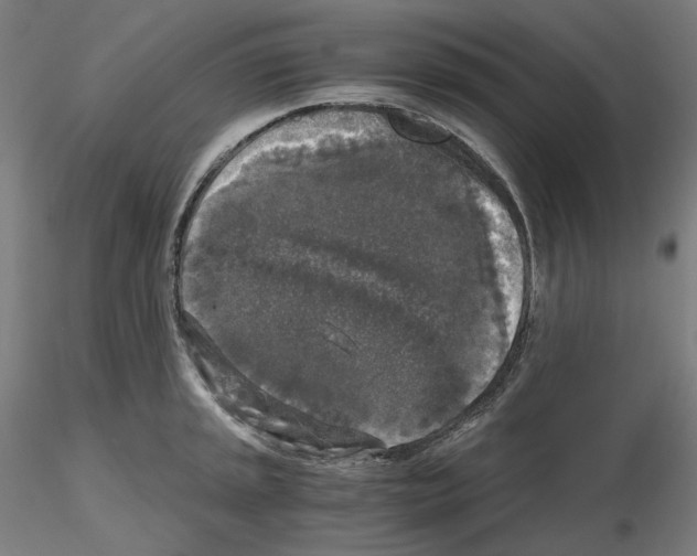 X0000115481045200912181205