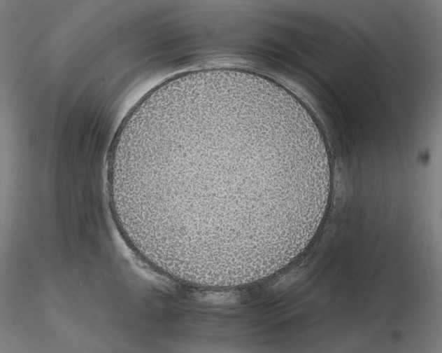 X0000115481047200912181205