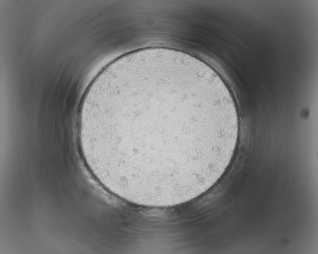 X0000115481048200912181205