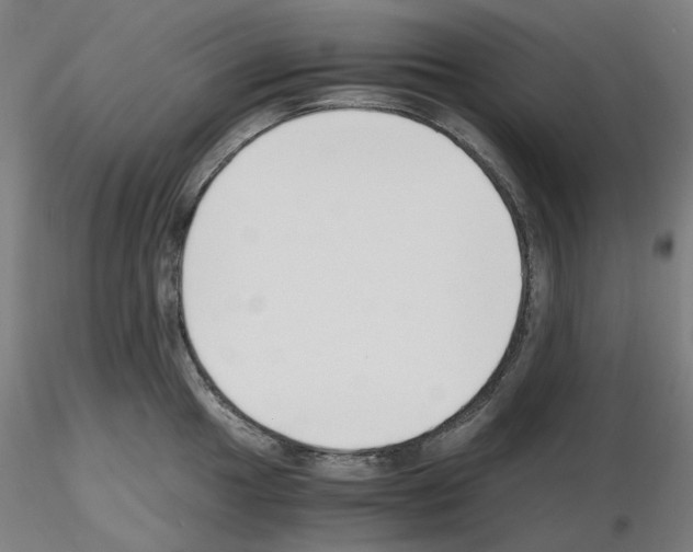 X0000115481049200912181205