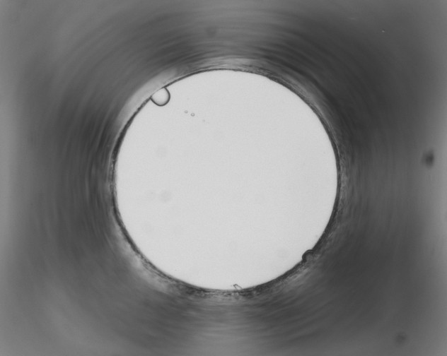 X0000115481050200912181205