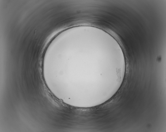 X0000115481051200912181205