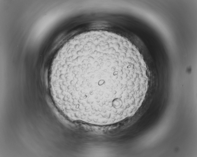 X0000115481054200912181205