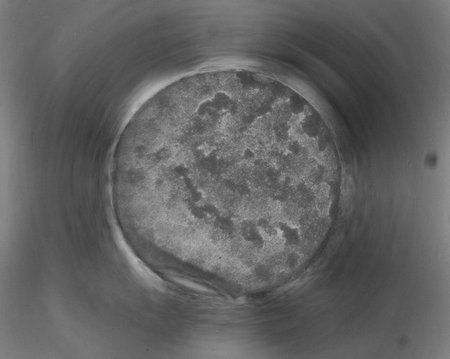 X0000115481055200912181205