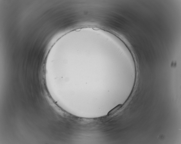 X0000115481056200912181205