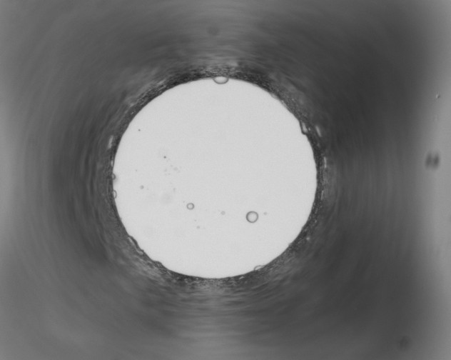 X0000115481057200912181204