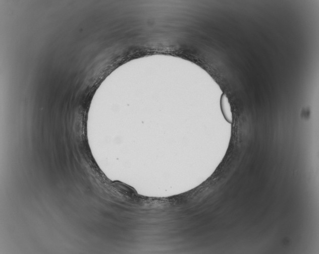 X0000115481058200912181204