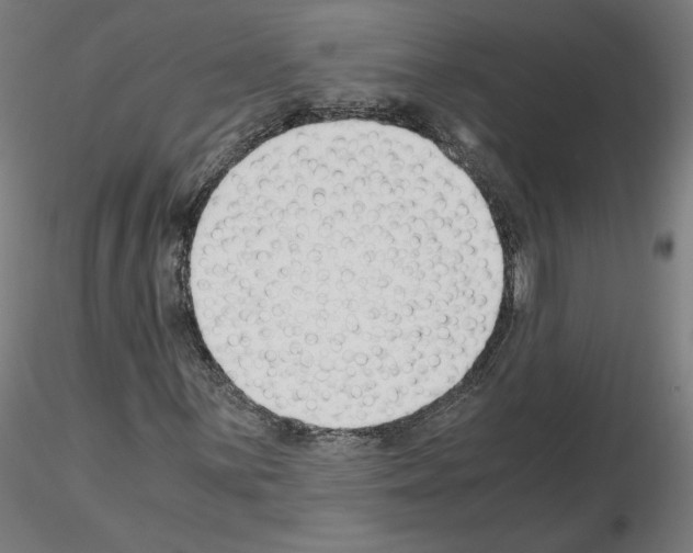 X0000115481059200912181204