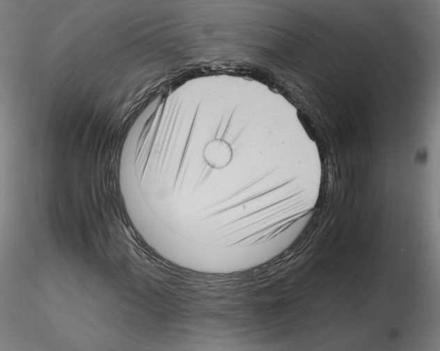 X0000115481060200912181204