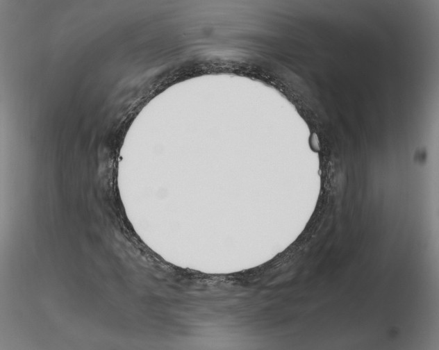 X0000115481061200912181204