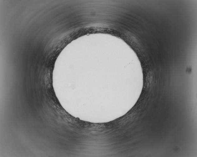 X0000115481062200912181204