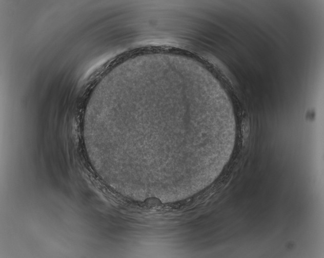 X0000115481064200912181204