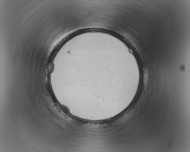 X0000115481069200912181204