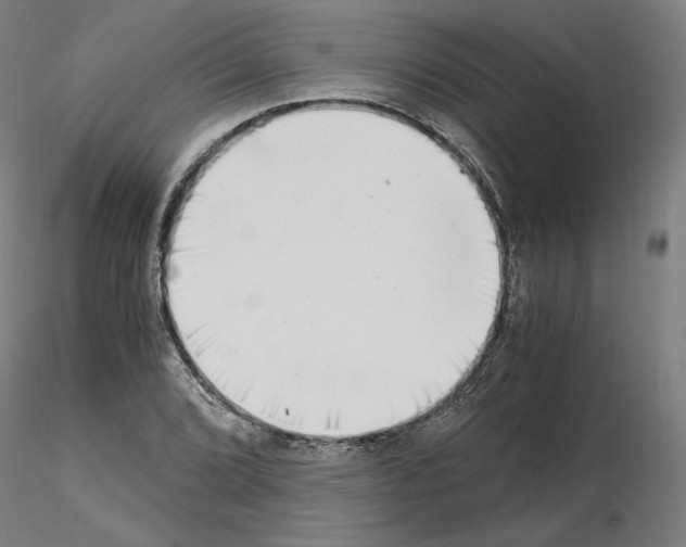 X0000115481072200912181204