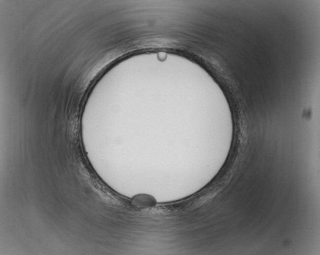 X0000115481073200912181204