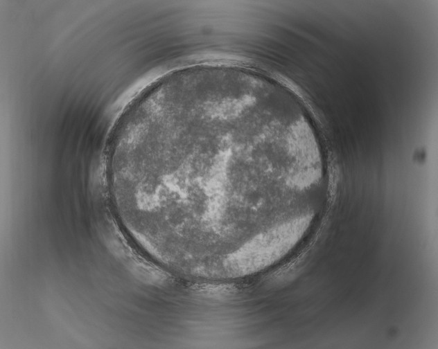 X0000115481074200912181204