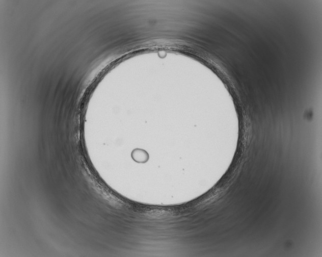 X0000115481075200912181204