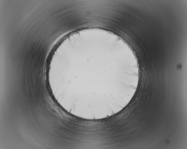 X0000115481076200912181204