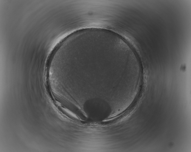 X0000115481077200912181204