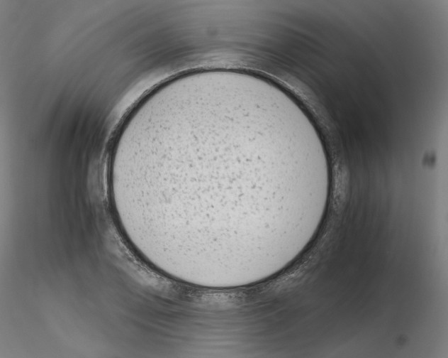 X0000115481078200912181204