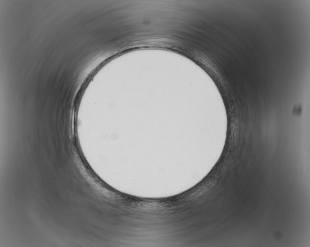 X0000115481079200912181204