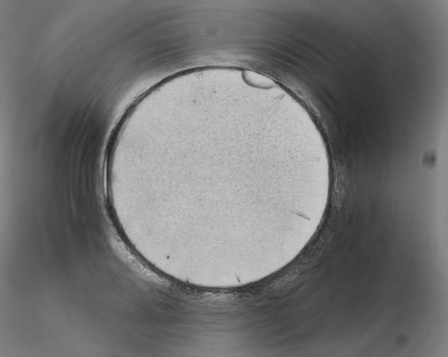 X0000115481080200912181204