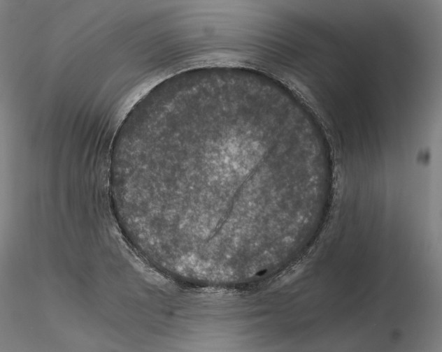 X0000115481081200912181204