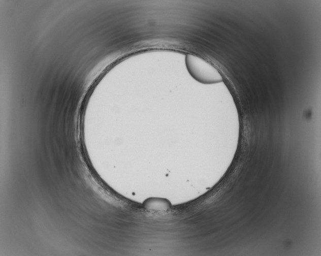 X0000115481082200912181204