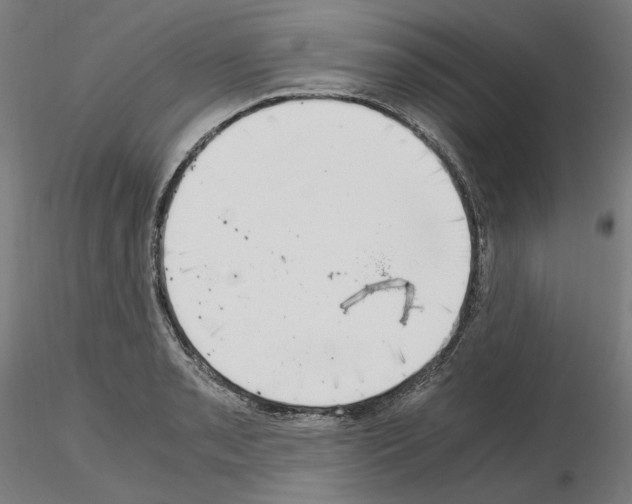 X0000115481085200912181204