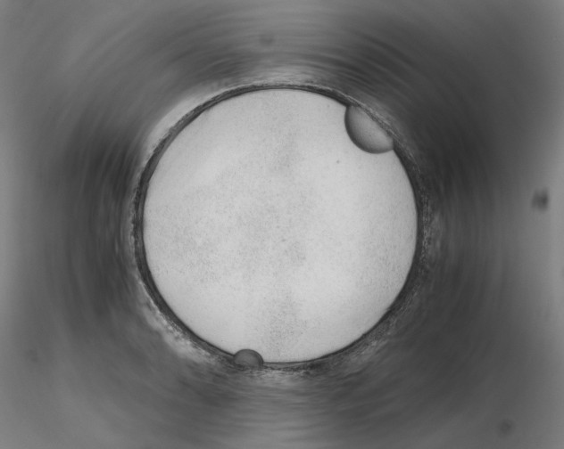 X0000115481086200912181204